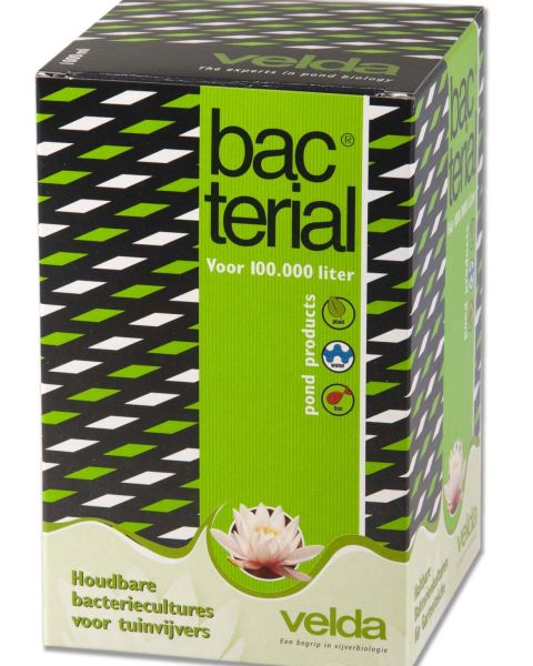 Bacterial 1000ml